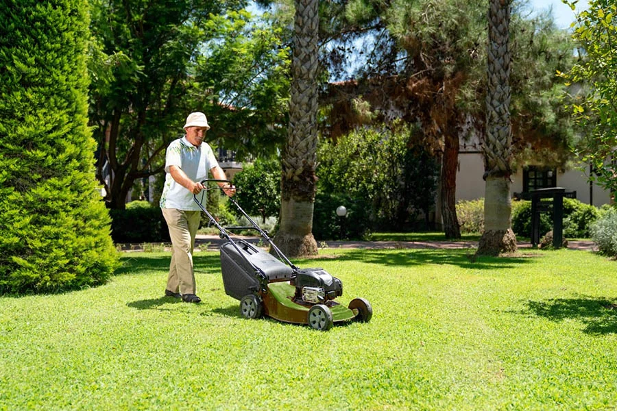 battery operated lawn